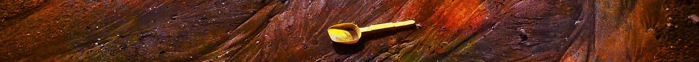 Frank-Cesar Lovisolo Frank-Cesar Lovisolo