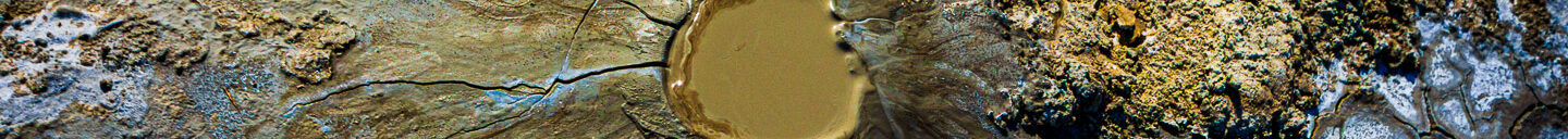 Frank-Cesar Lovisolo Frank-Cesar Lovisolo