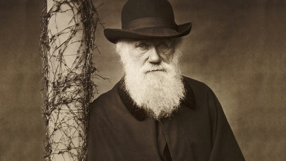 evolution - lovisolo - Epicure - Charles Darwin