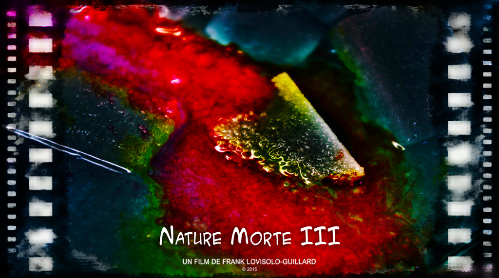 Art vidéo - Charlie Jazz Festival - Lovisolo - Nature Morte III