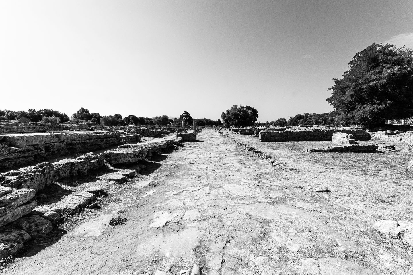 PasetumIMA Le silence des Sirènes
