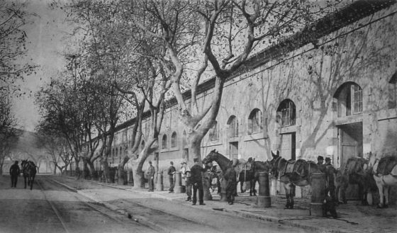 Toulon : Le Mourillon Boulevard Bazeille vers 1900