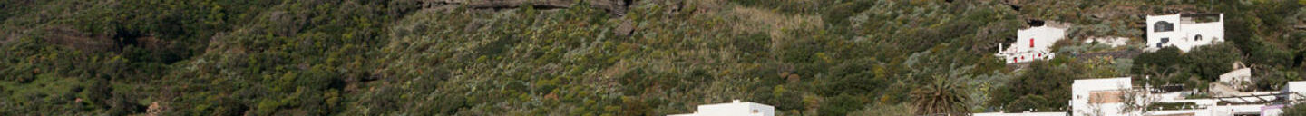 Frank-Cesar Lovisolo Frank-Cesar Lovisolo