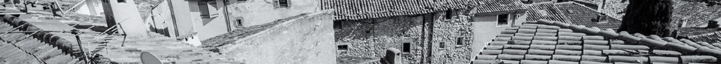 Frank-Cesar Lovisolo