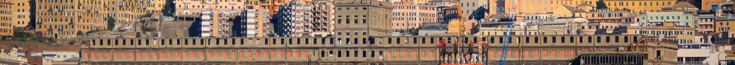 Frank-Cesar Lovisolo Frank-Cesar Lovisolo