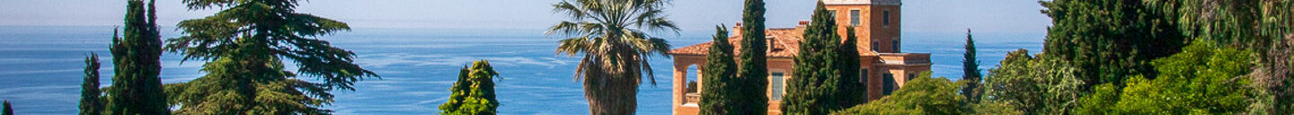 Frank-Cesar Lovisolo Frank-Cesar Lovisolo