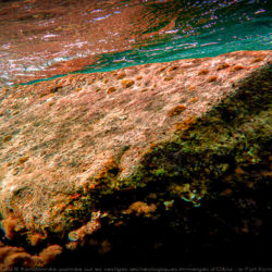 Sousleaugraphie archéologique: Randonnée sous-marine d’Olbia à Hyères