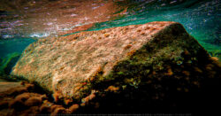 - herculanum - Frank César LOVISOLO - Au début, on ne voit pas grand-chose, on discerne mal les murs, la digue et les autres vestiges sous-marins. Peu à peu, la vision s’affine. Les vestiges du port, enfin, percent la grande bleue. On décèle un étrange rocher, il s’agit plutôt d’une pierre de taille: les angles sont trop précis pour avoir été façonnés par le royaume de Neptune. Puis la jetée, encore rectiligne malgré les années. Sans aucun doute, le niveau de la mer était bien plus bas.