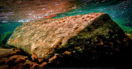 - herculanum - Frank César LOVISOLO - Au début, on ne voit pas grand-chose, on discerne mal les murs, la digue et les autres vestiges sous-marins. Peu à peu, la vision s’affine. Les vestiges du port, enfin, percent la grande bleue. On décèle un étrange rocher, il s’agit plutôt d’une pierre de taille: les angles sont trop précis pour avoir été façonnés par le royaume de Neptune. Puis la jetée, encore rectiligne malgré les années. Sans aucun doute, le niveau de la mer était bien plus bas.