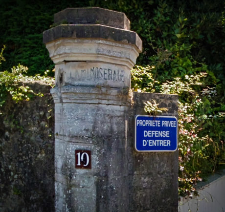 Vestige-de-La-Mimoseraie-à-Biarritz - Eugenia Errazuriz