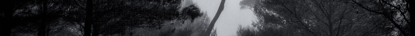 Frank-Cesar Lovisolo Frank-Cesar Lovisolo