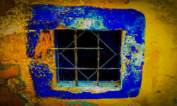 Le Photographe Confiné 1 Le photographe Confiné
