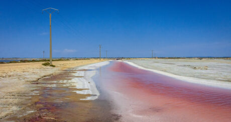 salin de giraud,Luce Monier,Camargue - Voyage - Frank César LOVISOLO - J'ai eu beaucoup de chance... Cette visite, dans ce lieu hors du temps, n'aurait pas été possible sans la présence d'une amie.