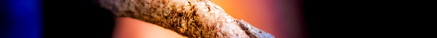 Frank-Cesar Lovisolo Frank-Cesar Lovisolo