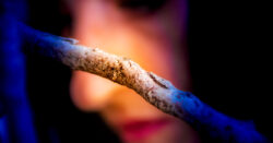 drones - drones - Frank César LOVISOLO - Une fée m'a jeté un sort... Pendant deux semaines, je me suis retrouvé à improviser envers moi-même avec, uniquement, sept notes d’une gamme à ma disposition, mais par chance, sur plusieurs octaves et quelques instruments !!!  Sortilège pour : Clarinette basse, Clarinette, Saxophone soprano, Trombone, Séquences, Mini Moog, Contrebasse, Batterie, Drones...