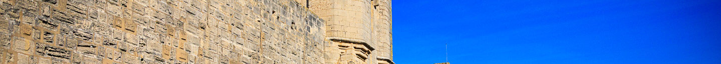 Frank-Cesar Lovisolo