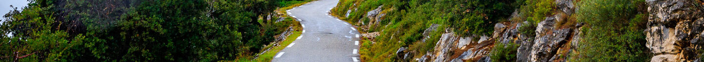 Frank-Cesar Lovisolo