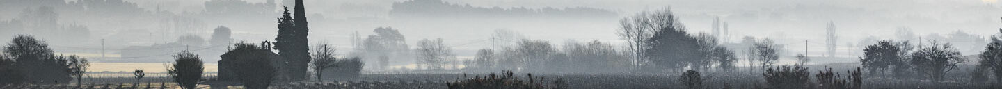 Frank-Cesar Lovisolo