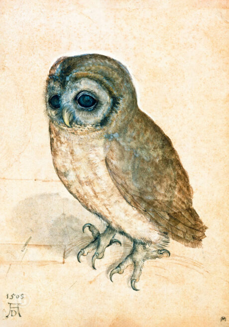 Ia Art,art numérique,réalité augmentée - Art Libertaire - Frank César LOVISOLO - art numérique — réalité augmentée — IA art - raw - war - art numérique — réalité augmentée — IA art - raw - war