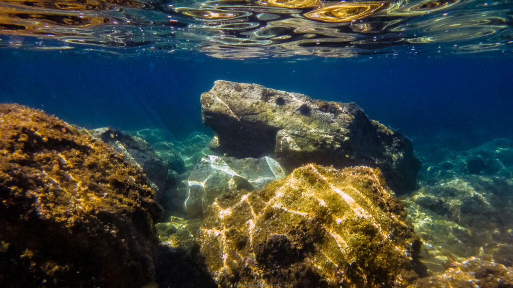 snorkeling, sousleaugraphie, randonnée sous-marine, photographie subaquatique, Toulon, Var, Méditerranée, Cap Brun,