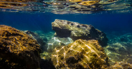 snorkeling,randonnée sous-marine,Toulon - Sousleaugraphie - Snorkeling - Frank César LOVISOLO - La série est une démarche, presque un rituel : une plongée en surface, masque et palmes, caméra ou appareil photo, qui engage tout à la fois le corps, le regard et l’intellect. Ce n’est pas du snorkeling comme il s’en pratique sur les plages bondées de la Côte d’Azur. C’est une forme de phénoménologie aquatique, une manière d’habiter la frontière entre deux mondes, celui de l’air et de la lumière, celui de l’eau et du silence.