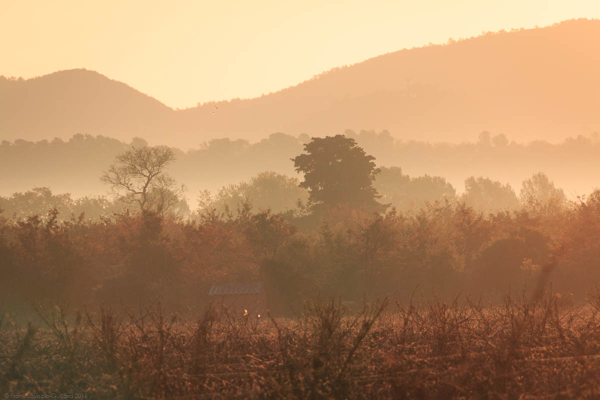 Heure bleue et dorée en photographie,golden hour,blue hour,photographier au coucher du soleil,Comprendre l’heure dorée et l’heure bleue - Photographies - Frank César LOVISOLO - Heure bleue et dorée en photographie - photographier au coucher du soleil - golden hour - blue hour - photographier au coucher du soleil - L’heure dorée dans l’art et la photographie - L’heure Bleue dans l’art et la photographie - Comprendre l’heure dorée et l’heure bleue  