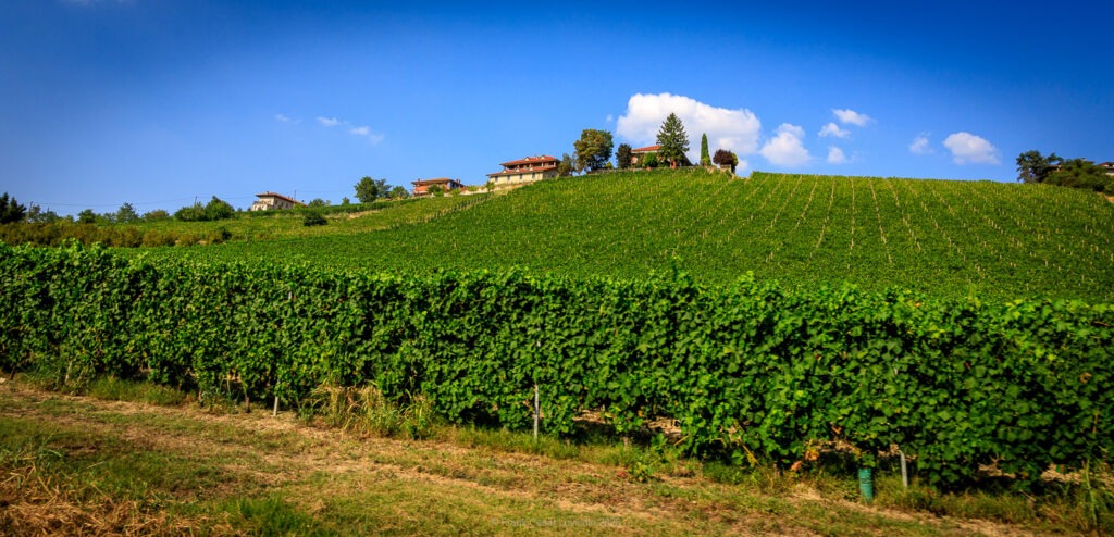 Costigliole d'Asti est une commune italienne de la province d'Asti, dans la région Piémont.
