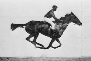 Séquence en mouvement du Sallie Gardner at a Gallop (1878).