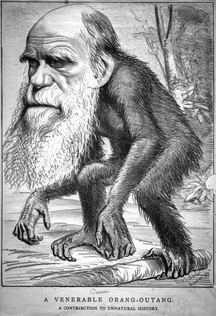 Caricature de Darwin dans The Hornet le 22 mars 1871 page